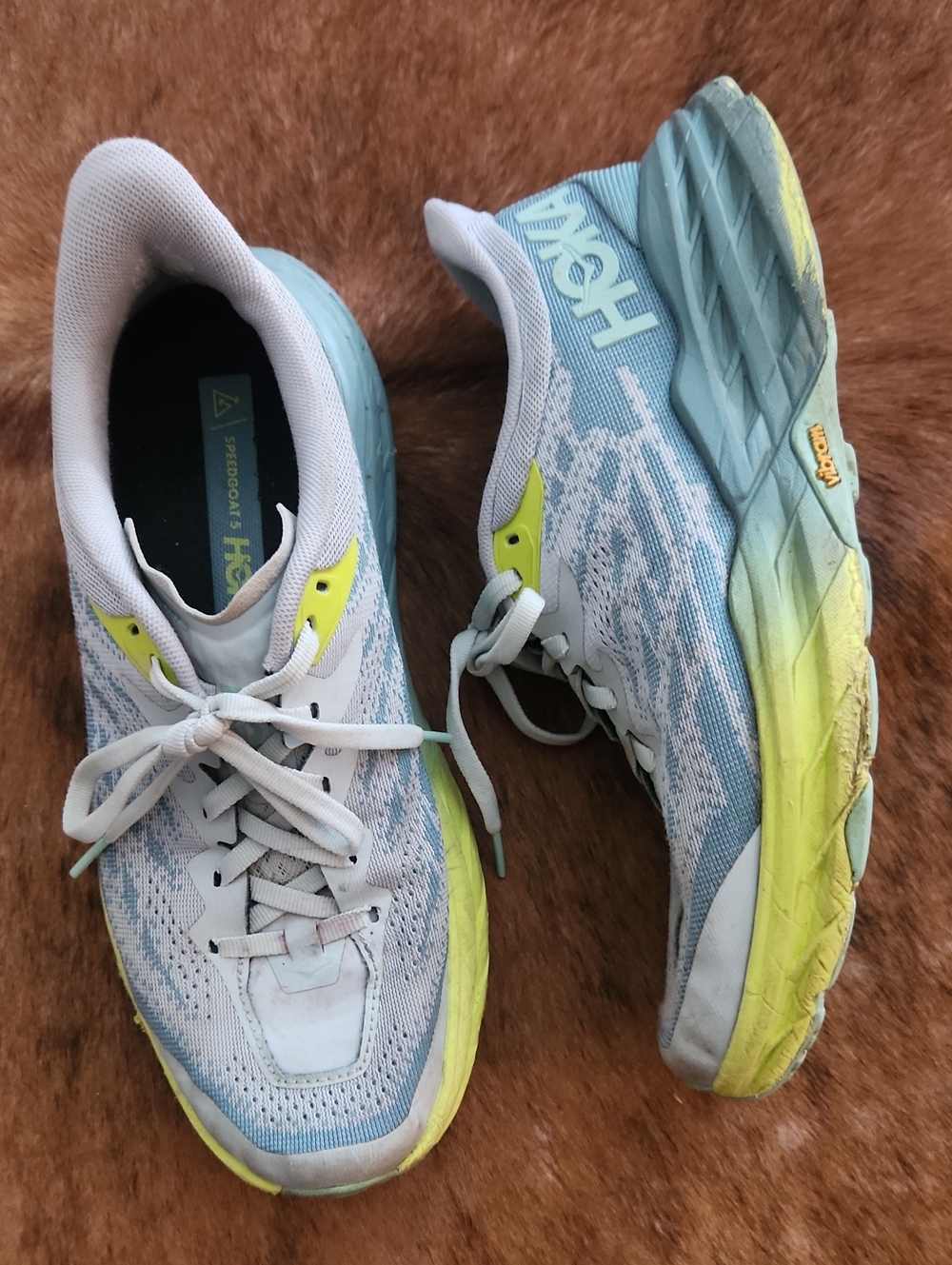 Hoka One One Speedgoat 5 Size 8.5 Blue Green Colorway